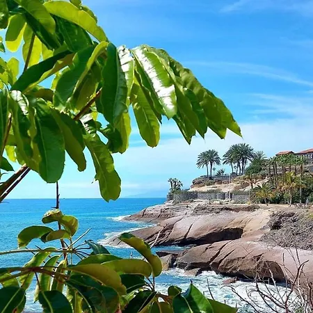 Apartament Ocean View - Cristianos Los Cristianos (Tenerife)